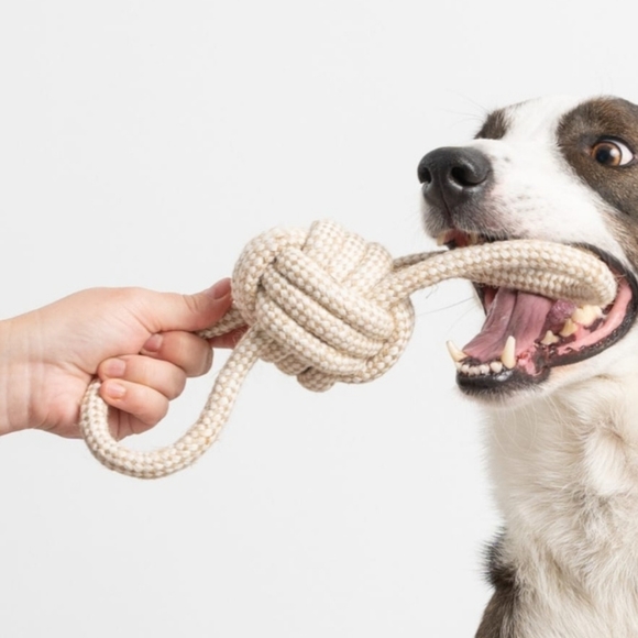 Pull & Play Rope Toy For Dogs - Picture 2 of 6